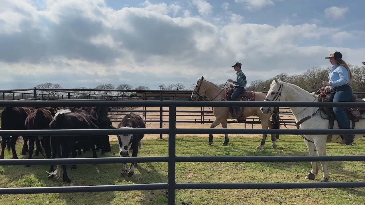 Load video: Young man wearing a blue plaid shirt and a Cowboy Cool hat riding a horse in a ranch setting, surrounded by cattle and fenced fields.