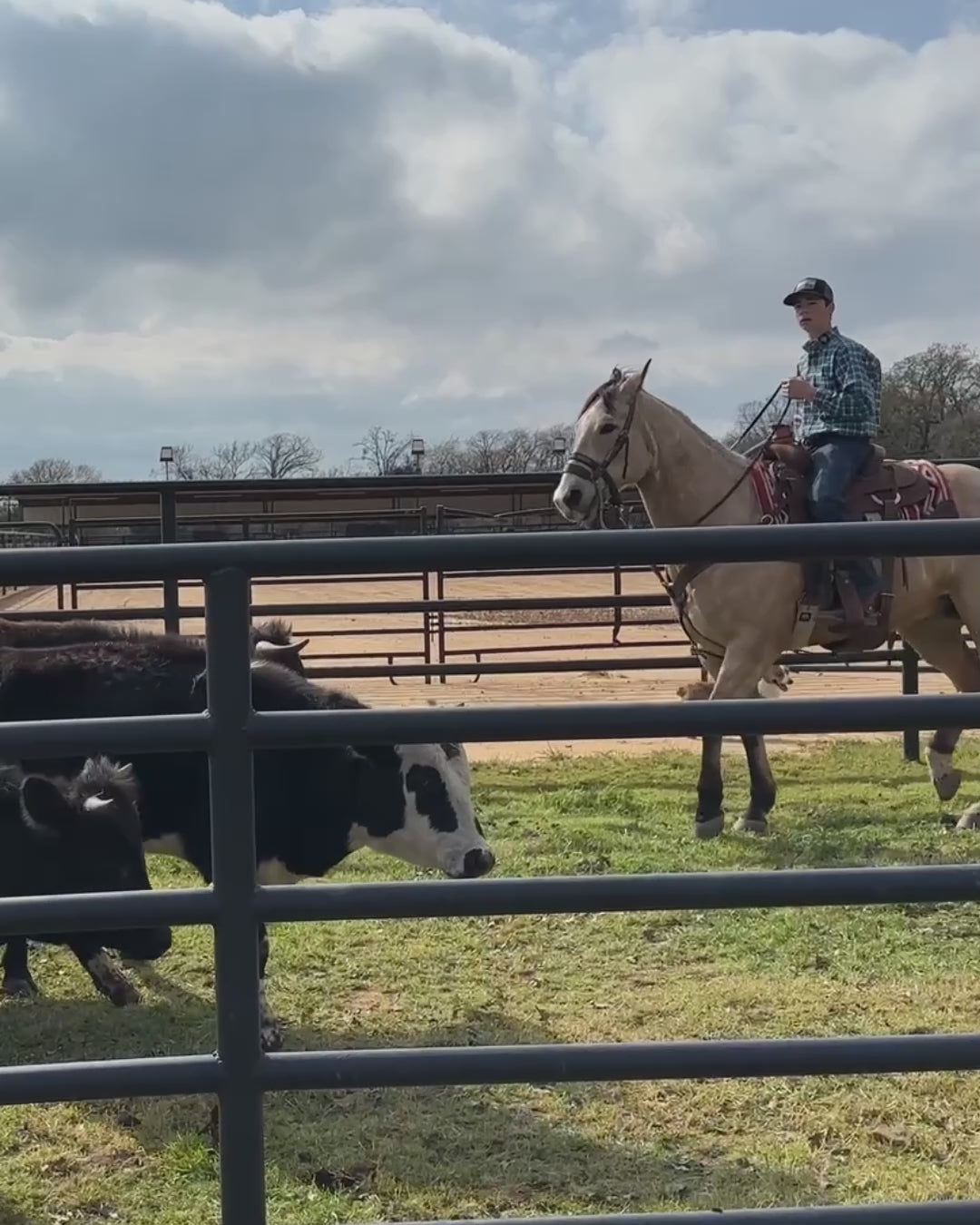 Load video: Young man wearing a blue plaid shirt and a Cowboy Cool hat riding a horse in a ranch setting, surrounded by cattle and fenced fields.
